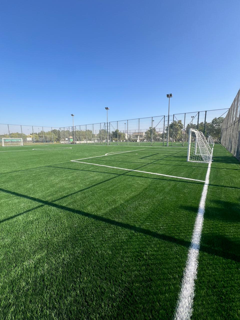 Luxury Villa Landscaping and Artificial Grass at Damac Hills Dubai